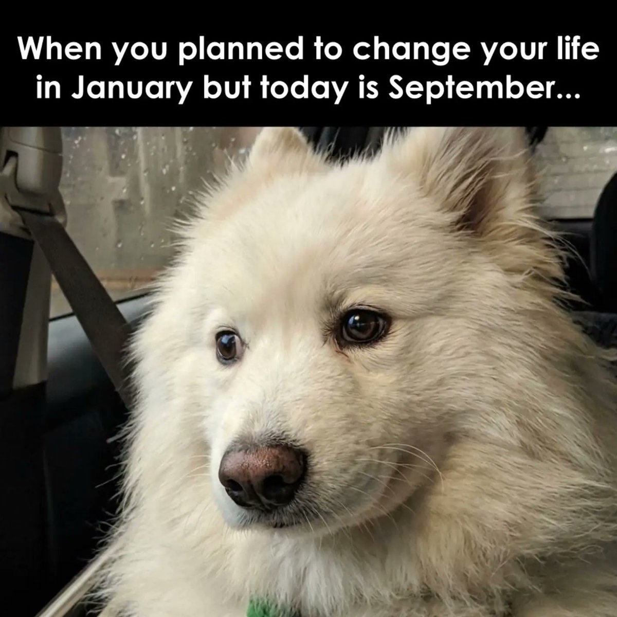 MargitEarvw2v's tweet photo. September is already here. https://t.co/Te3zX3TrSF