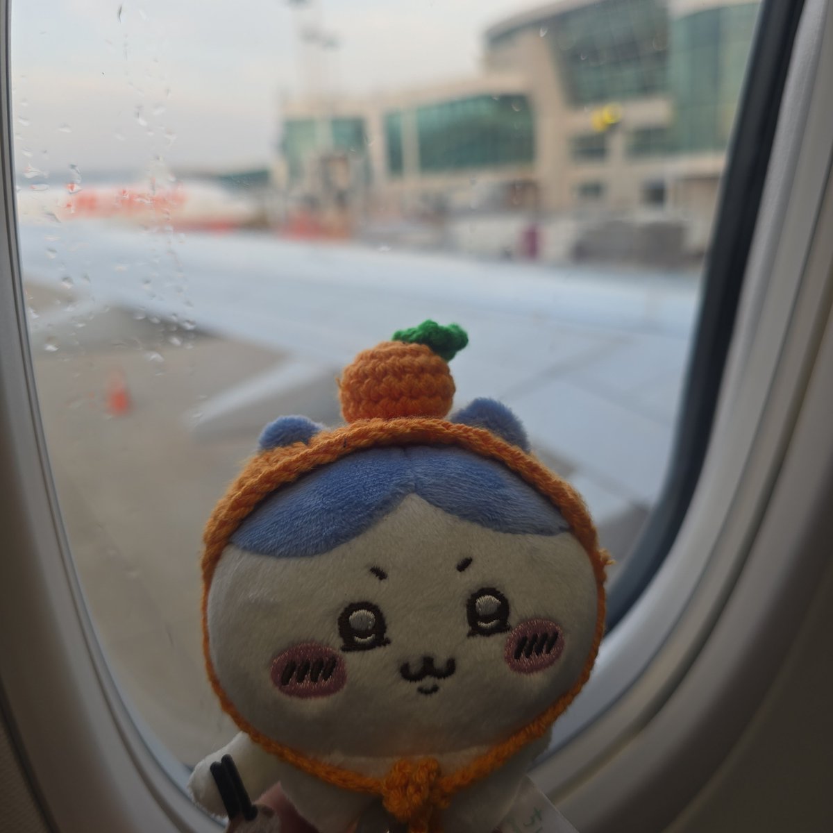 jypark387209's tweet photo. 토벌갑니다✈️ https://t.co/IPrmtQVDy3