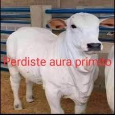icono_jd's tweet photo. Joder, de verdad no puedo redactar nada bien https://t.co/BwxhBD3mcW