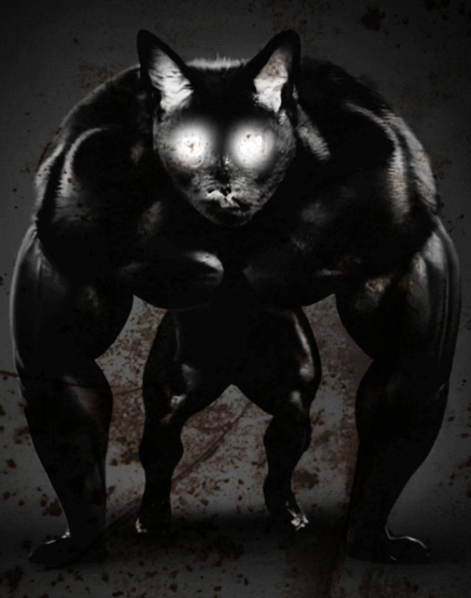 AFewbob's tweet photo. @FrothlessPlease The most based crypto guy on X bar none. 

Real heavyweight! https://t.co/ykxEAgRyzW