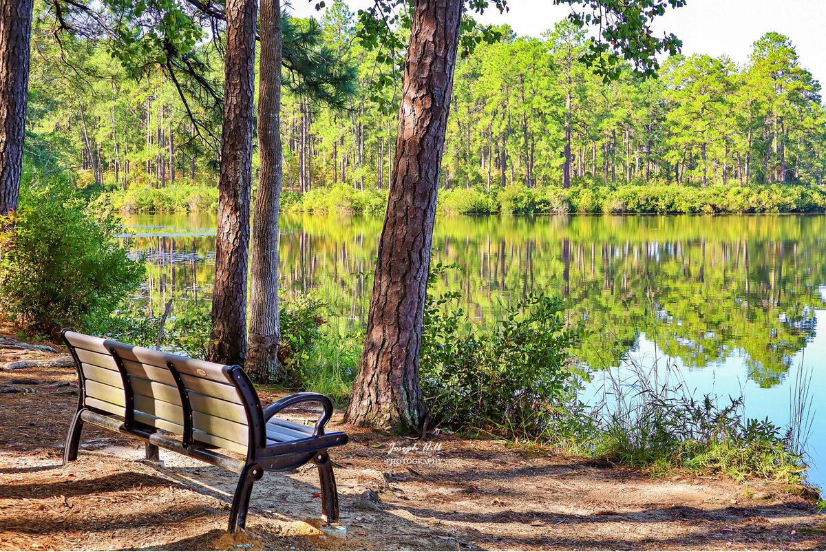 JosephHill3794's tweet photo. Southern Pines Reservoir Park🏞
Photo By: Joseph Hill🙂📸

#SouthernPinesReservoirPark #park #lake #bench #nature #daylight #beautiful #peaceful #naturephotography #SouthernPinesNC #VisitNC #September https://t.co/CIezMeyDCo