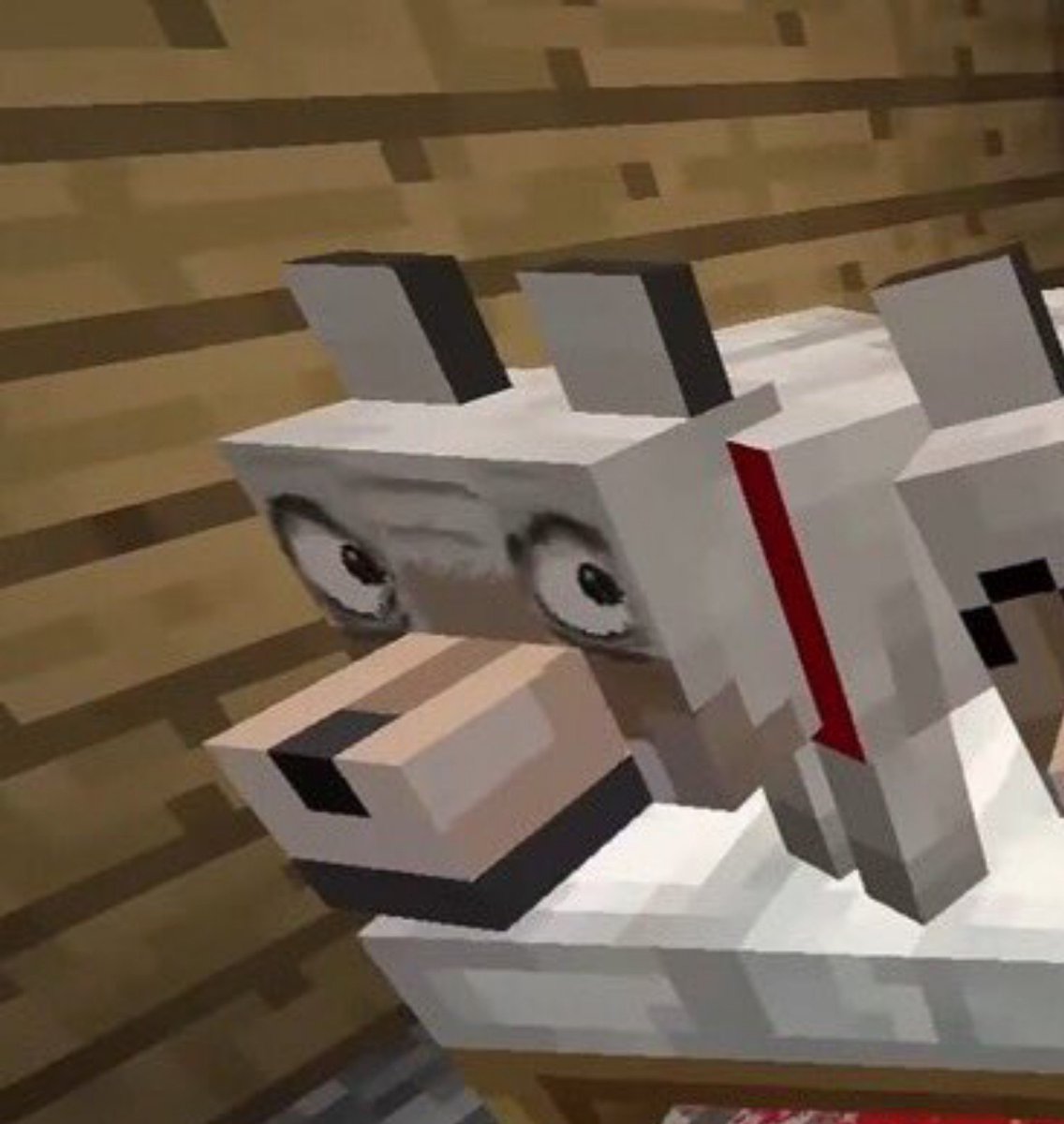 romi_kun21's tweet photo. Can we please not ignore lookouts situation just because of a Minecraft dog https://t.co/8T9g5cPzO6