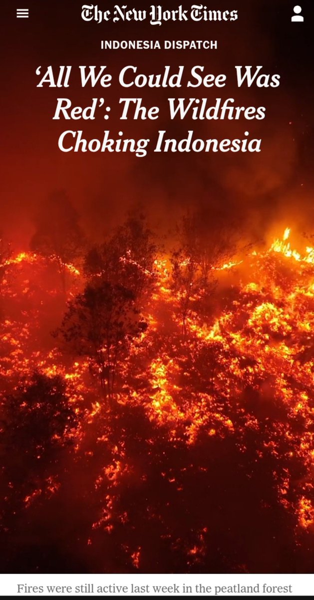 InFebriyan128's tweet photo. New York Times menulis berita kebakaran hutan di Kalimantan.

Akhirnya ada media internasional yang memberitakan. https://t.co/ILZ2VOsBNM