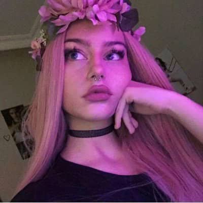 slechleidner2's tweet photo. Can i dm you ? I’m so bored asf !!! https://t.co/JoaP5466aW
