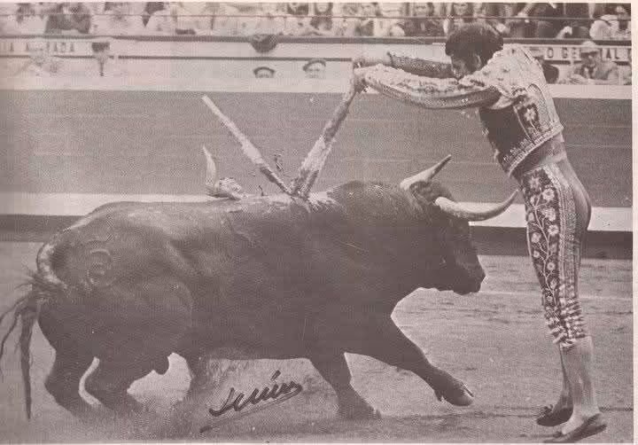 JoseNinoG's tweet photo. Un año mas sin el maestro Francisco Rivera Pérez "Paquirri"

Un Torero referente..un torero idolatrado ..
Un Torero muy Hombre...

Un Hombre muy Torero...

#42sinPaquirri https://t.co/DilhQngE9M