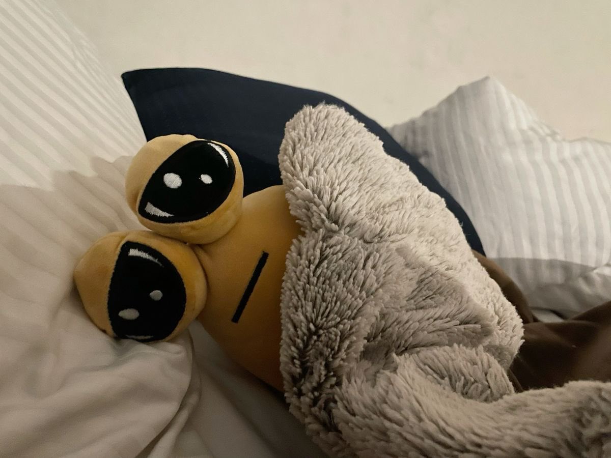 chrellim's tweet photo. j’ai mis mon doudou à la machine je suis comme https://t.co/JWFleOWTOh