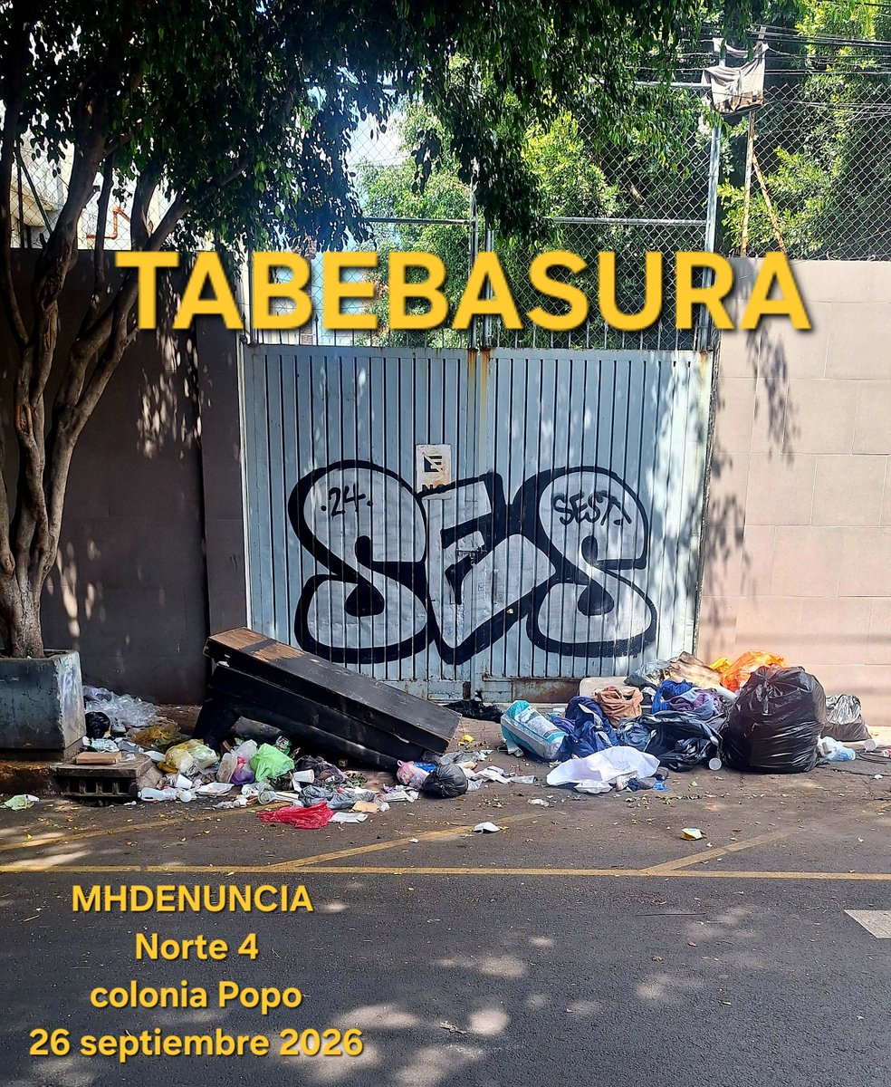 MHdenuncia's tweet photo. Llevamos toooooooda la desadministración del inutil del #TABERNAS @mauriciotabe y nunca ha podido mantener limpia la esquina de #Norte4 y #LagoChairwl y a nuestras legisladoras como que les vale @laualvarez_80 #LadyDiurex @Mzavalagc #AmericaJackson @Ceci_vadillo @Congreso_CdMex https://t.co/0F2b1pOWhb