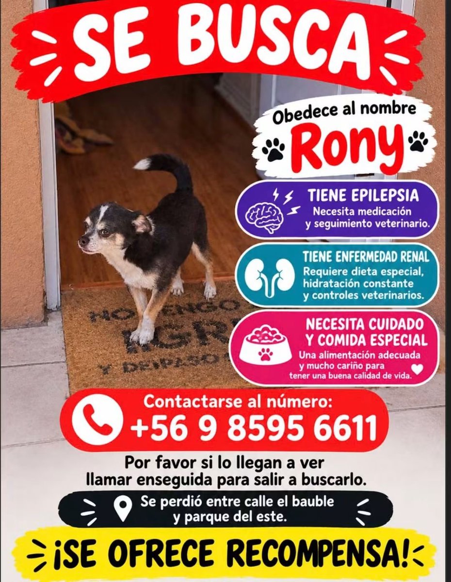 todopormiperro's tweet photo. Comuna de puente alto https://t.co/0ToNfaeU8D