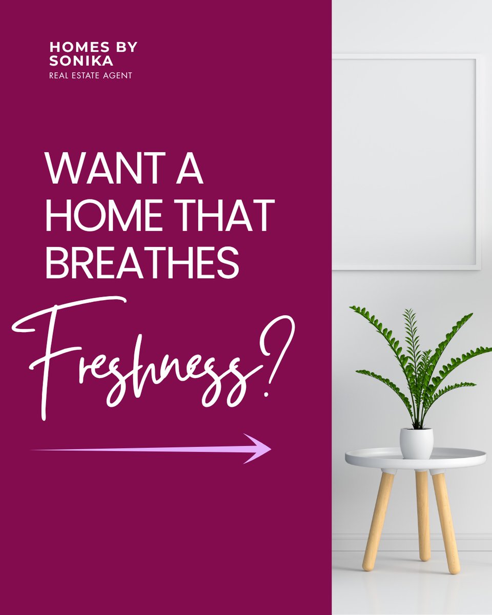 AdolphAustph's tweet photo. Your home deserves to breathe! These three plants do more than look beautiful—they purify, refresh, and energize every corner, transforming your space into a living sanctuary. Which one will you bring home first? Save this for your next https://t.co/W2GQfcLPp5