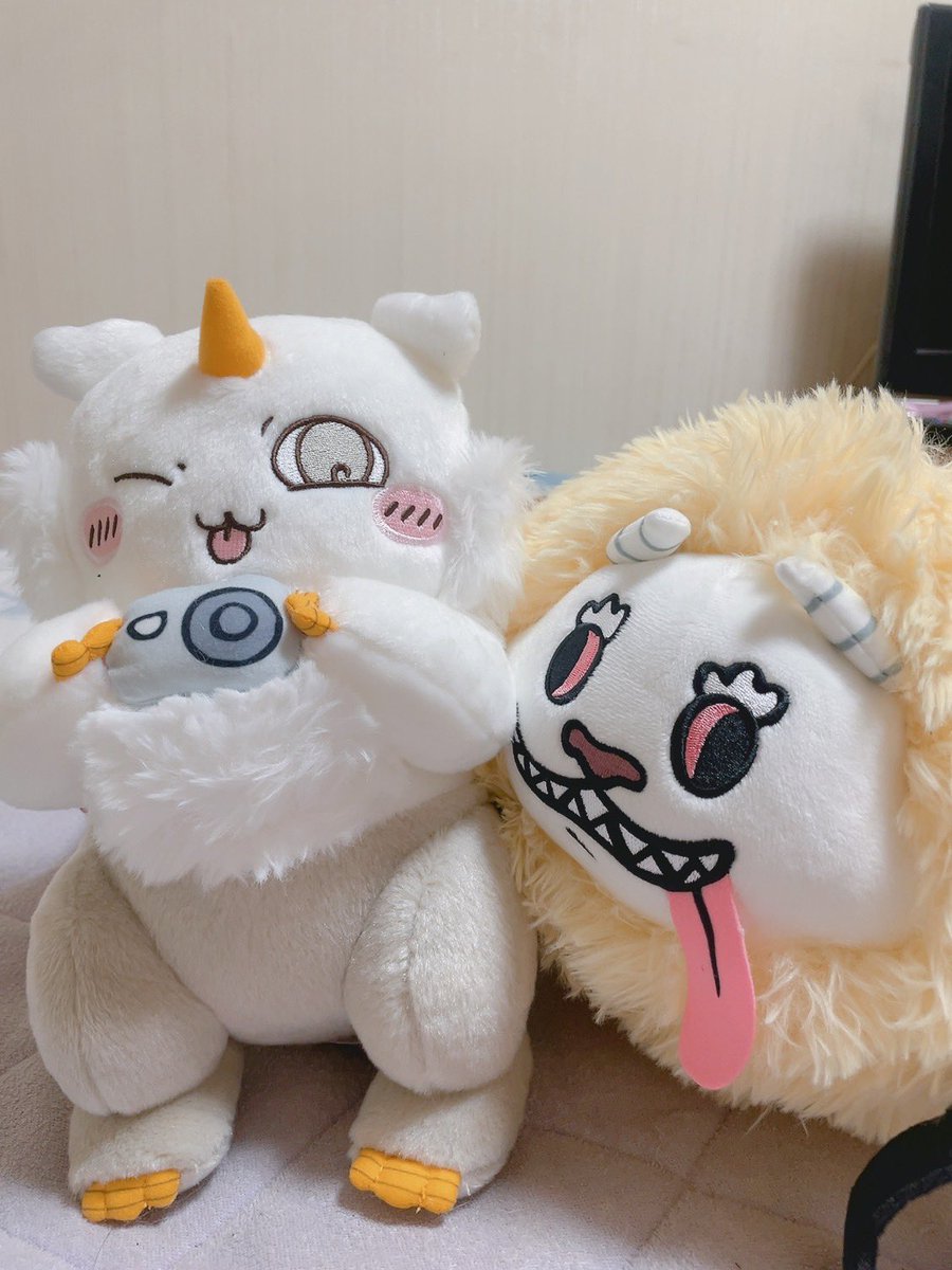 chobi232323's tweet photo. 可愛くて毎日うっとり💖 https://t.co/niHPIvK28P