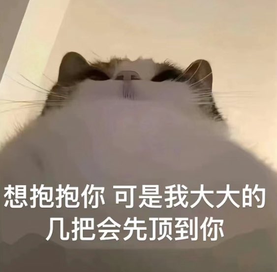 Hamjgvh1's tweet photo. https://t.co/71kyhvrZBL