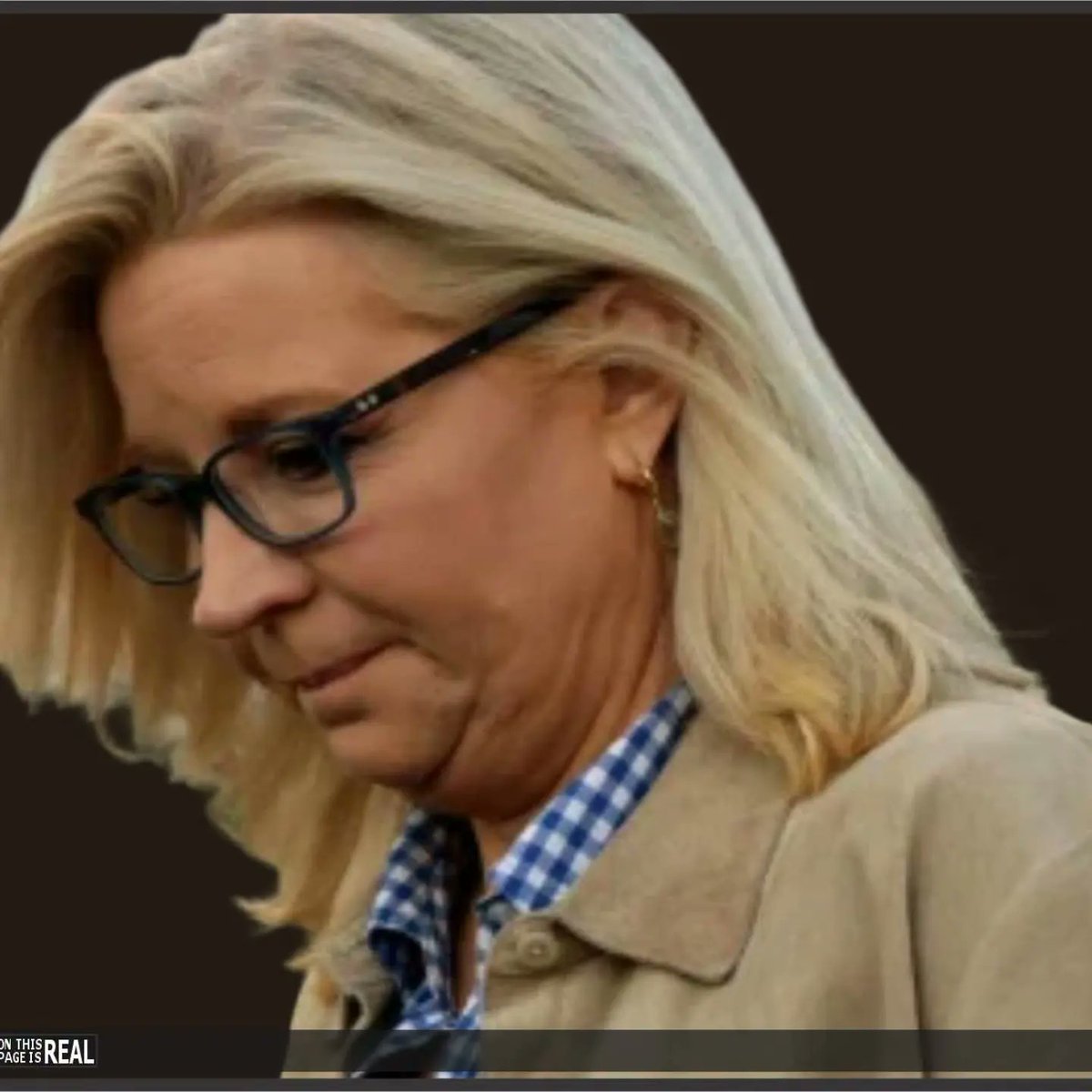 larry_mcwethy's tweet photo. Former Congresswoman Liz Cheney's husband has filed for divorce after the sordid details of her "months-long tryst" with Congressman Jamie Raskin came out in discovery in a lawsuit against the January 6 Unselect Committee.

According to filed documents, Raskin and Cheney conspired to form the committee to hide their relationship, spending countless hours alone together "investigating" the Nancy Pelosi op.

Cheney, who is worth $180 million due to her late father's defense contractor holdings, stands to lose half under Wyoming law.

Raski is facing similar challenges with his marriage as well. Couldn't happen to a better B...