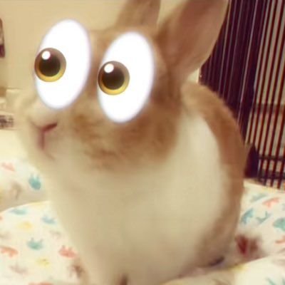 ChichiLove67's tweet photo. i felt like shit since yesterday, like it was BAD but now im suddenly so jolly again because of my oomfies and all the fun announcements that dropped later (blub👀), what is wrong with me https://t.co/w6xzwqcUPL