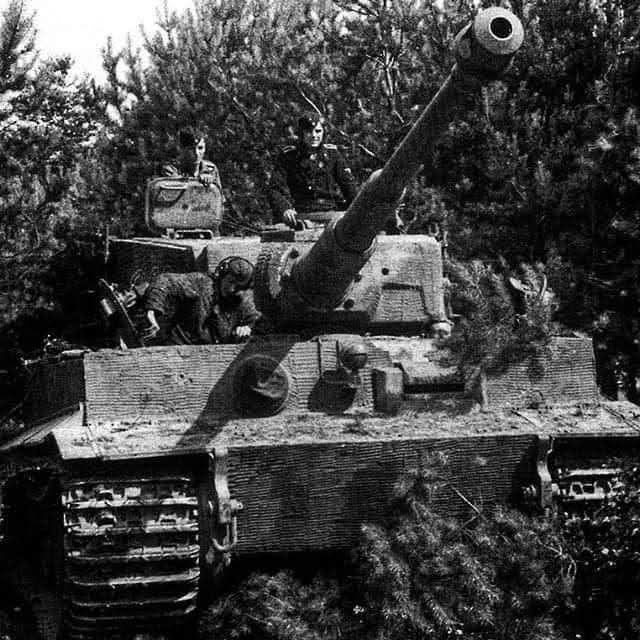 kmz650's tweet photo. Tiger 

#German 
#WW2 https://t.co/liKrPOMbmi