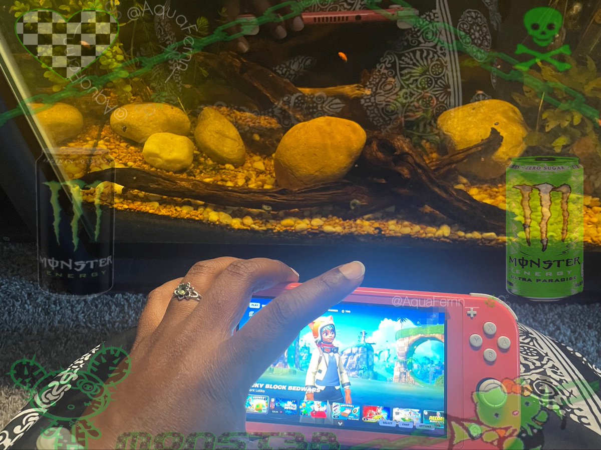 AquaFernn__'s tweet photo. okay so i want minecraft and subnautica for my switch so go tip $60 on youpay https://t.co/SPEsIEbqbq