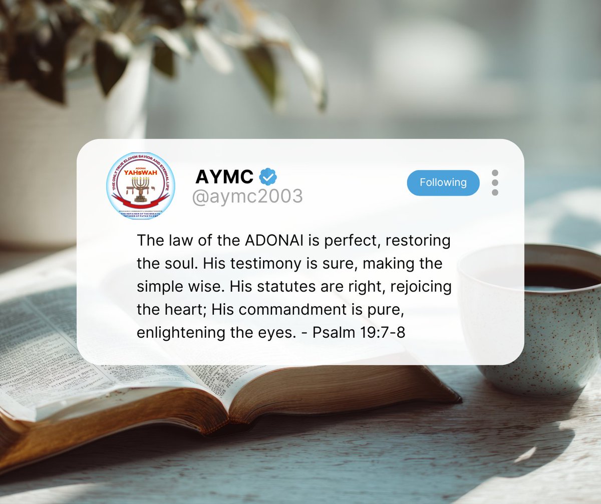 aymc2003's tweet photo. When life gets noisy, go back to the Word.

It restores.
It teaches.
It gives light.

We don’t need more noise. We need His Word.

#DailyDevotion #TheWordOfElohim #WalkWithElohim https://t.co/JPe71VlV9C