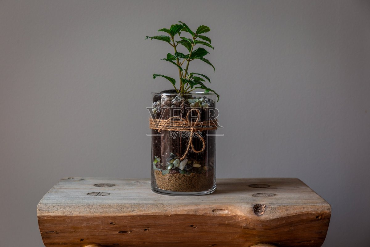 KalaDillaman's tweet photo. Turn an old mason jar into a functional herb planter—perfect for windowsill vibes and fresh cooking herbs! https://t.co/tnc8RRfW36