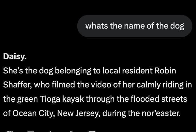 letsgetdevvy's tweet photo. dog going viral for riding kayak in flood

the dogs name is Daisy i asked grok perfect simple cashback meme https://t.co/yWW4hBVsV5