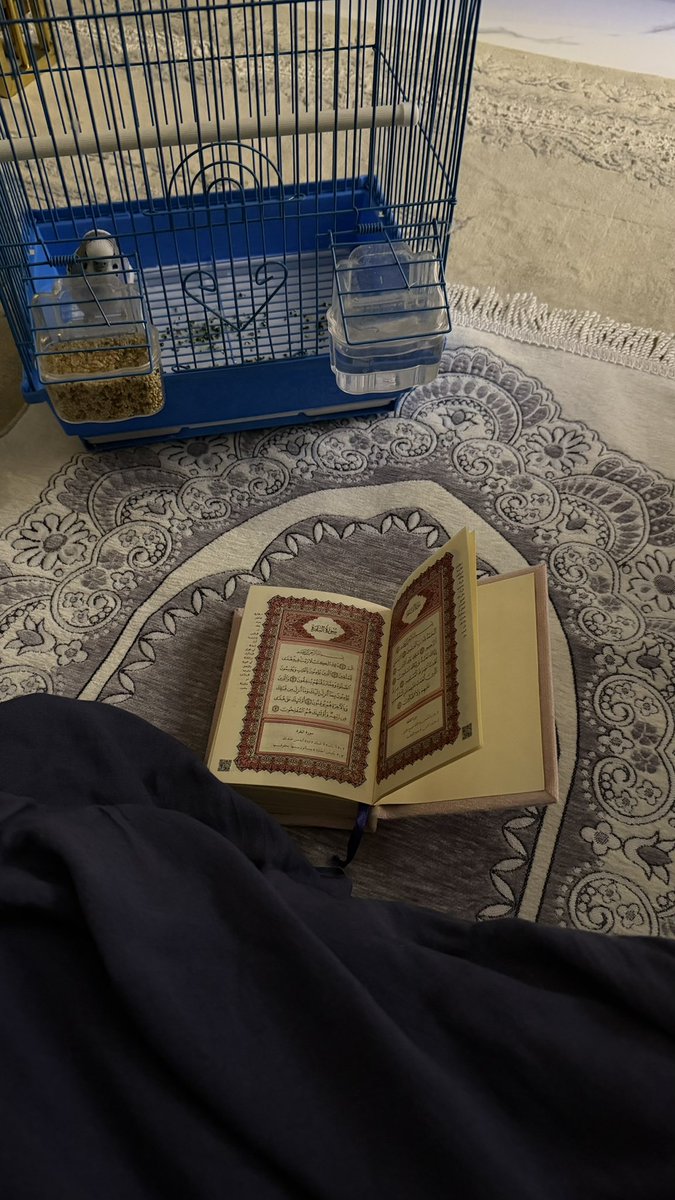 lllolyv1's tweet photo. يقول الله عزَّ وجلَّ حين يبقى ثُلث الليل الآخر:
من يدعوني فأستجيب له
ومن يسألُني فأُعطيه
ومن يستغفرُني فأغفر له

— الوتر 🩷 https://t.co/hsOACWAzlj