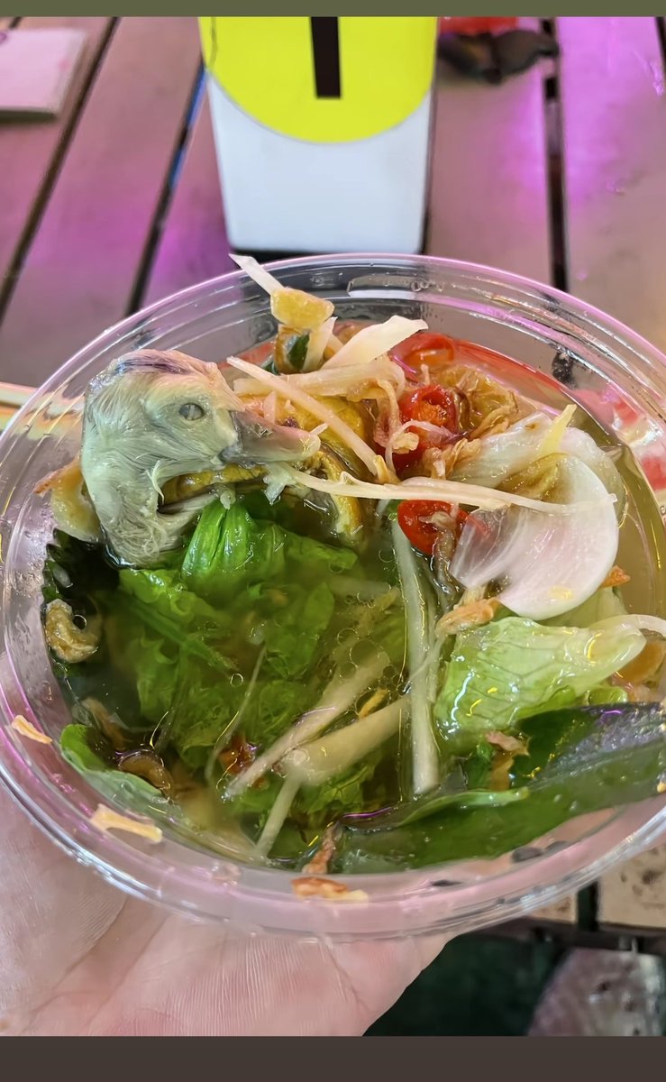 SoloRamenTokyo's tweet photo. Vietnamese friends, I need answers! 😳🇻🇳
Is this really how you eat it in Vietnam?!
Would you dare to try it? 😂

#VietnameseFood #StreetFood #Foodie https://t.co/bYnbZZ0nG7