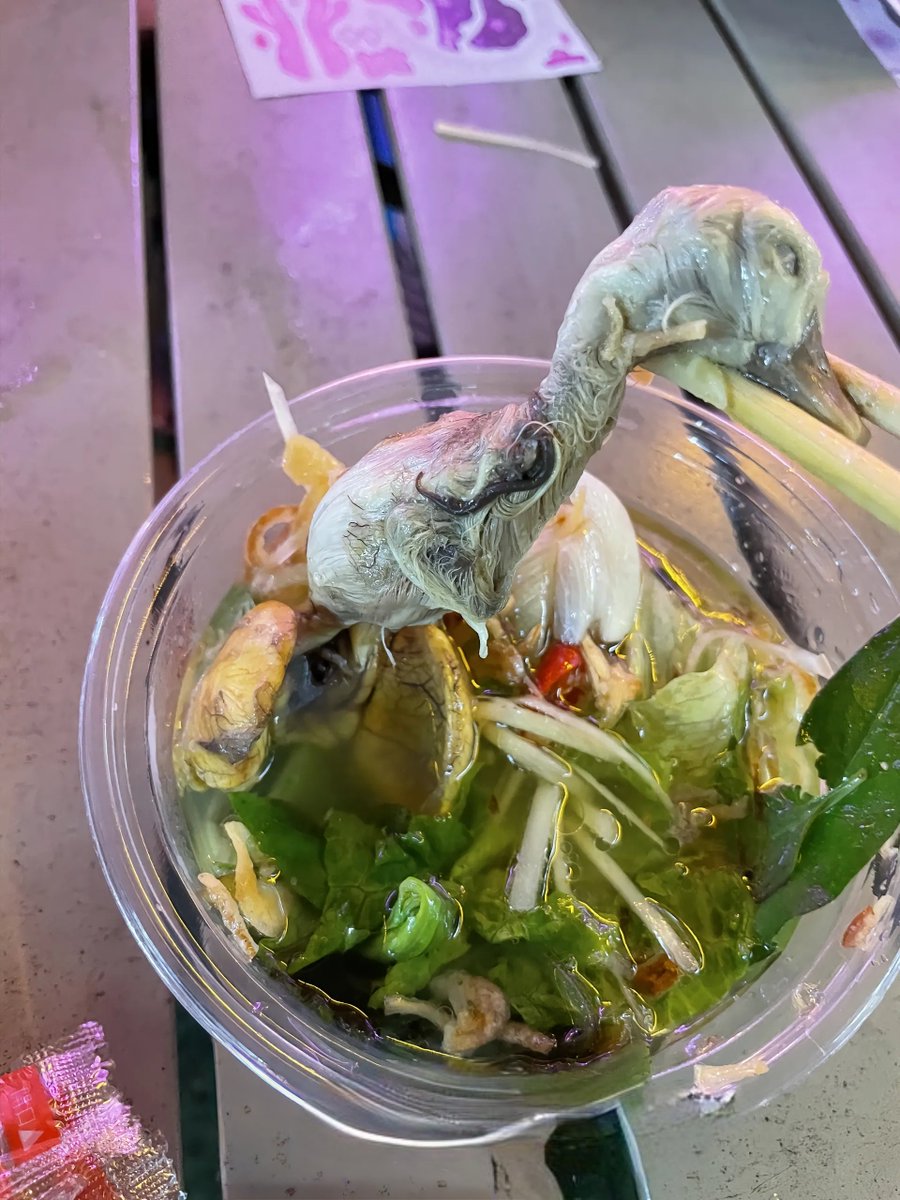SoloRamenTokyo's tweet photo. Vietnamese friends, I need answers! 😳🇻🇳
Is this really how you eat it in Vietnam?!
Would you dare to try it? 😂

#VietnameseFood #StreetFood #Foodie https://t.co/bYnbZZ0nG7
