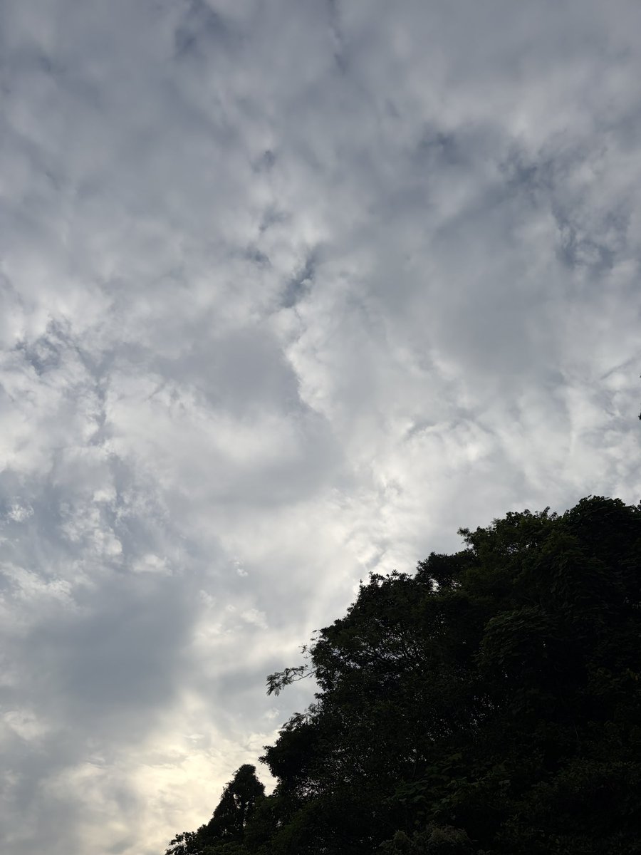 RX7FD3Shim's tweet photo. おはようさんです☁️

9月27日 女性ドライバーの日👩‍🍼
今朝は25.3℃

今日も良き日に👍
本日もよろしくでーす💖✨ https://t.co/zRzVXjFbbt