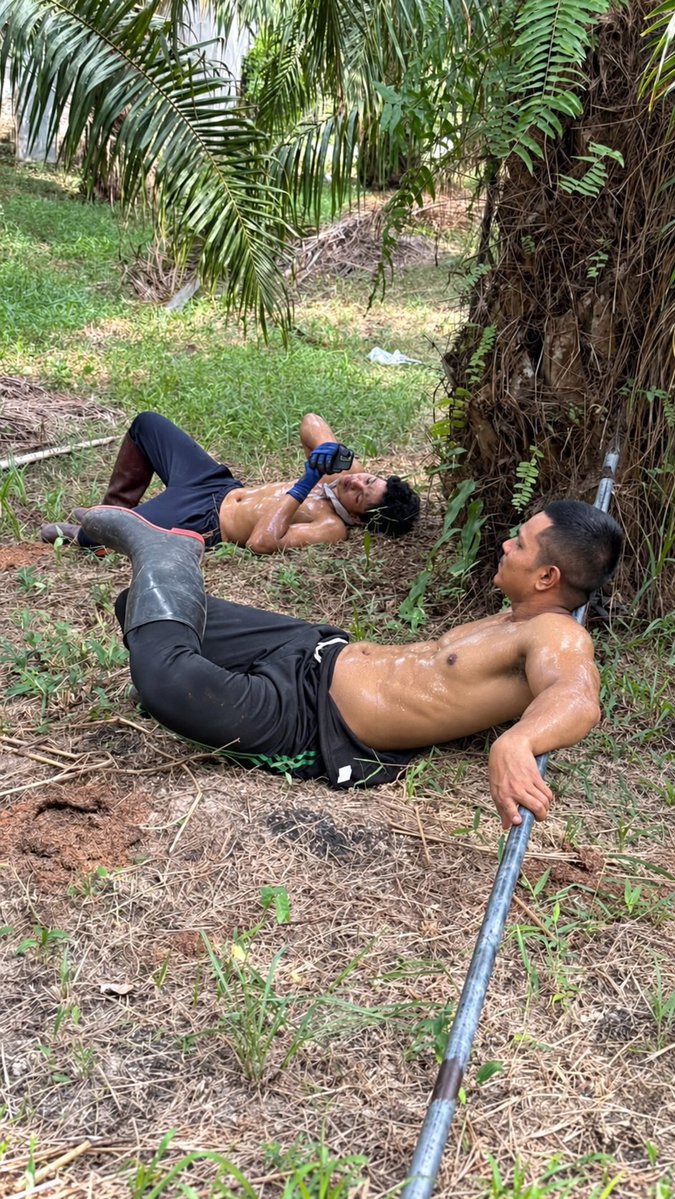 Shah31Mr's tweet photo. Lagi istirehat dari nguli sawit #kulisawit #kulimuscle #Ai https://t.co/sAWxDl31De