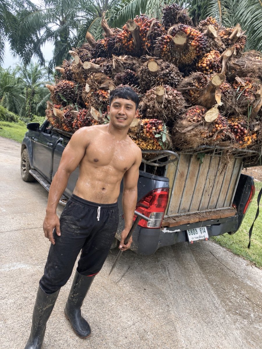 Shah31Mr's tweet photo. Lagi istirehat dari nguli sawit #kulisawit #kulimuscle #Ai https://t.co/sAWxDl31De