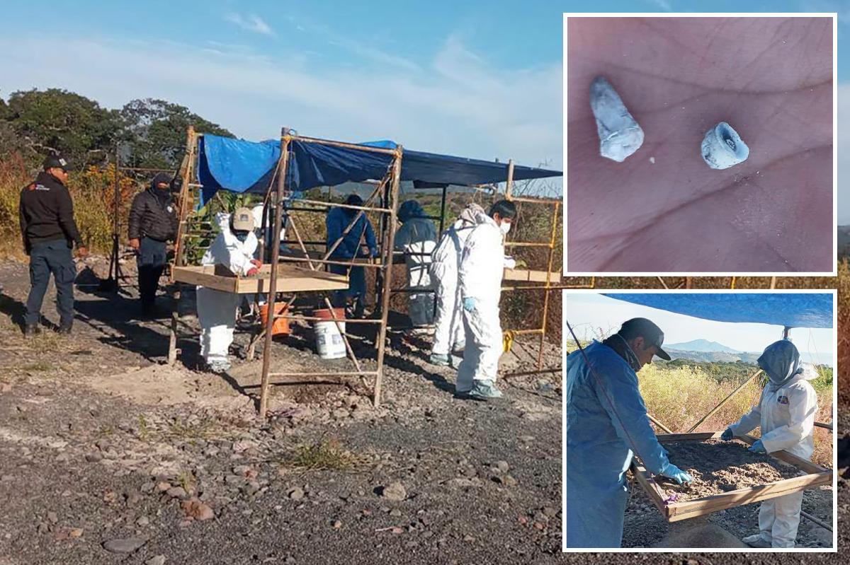 nypost's tweet photo. 1,600 baby teeth found at mass grave site in Mexico as officials deny knowledge https://t.co/MwroCYFedw https://t.co/BqAXZM7Gls