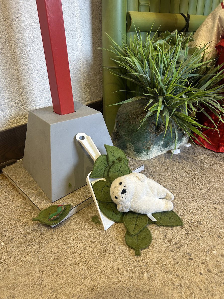 waccha_309's tweet photo. わっちゃ、そんなところで寝ないよ https://t.co/Ge1ETVXUrs