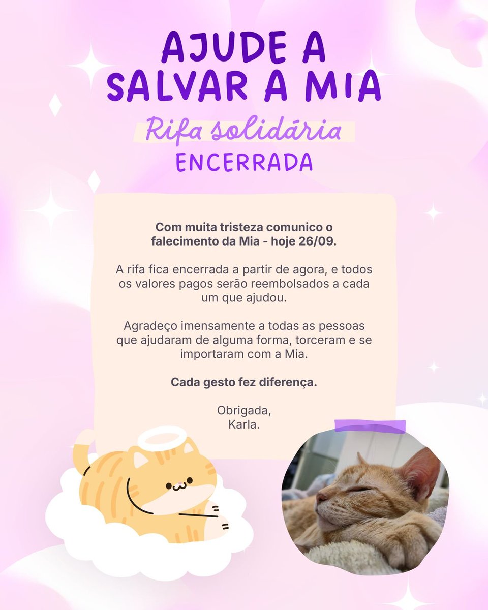 vantebunny's tweet photo. É com toda a tristeza do meu coração, que venho avisar que hoje pela manhã, a gatinha Mia teve duas paradas cardíacas e descansou. Minha bichinha lutou muito e tentou por muitos meses, mas infelizmente o corpinho dela cansou e ela precisou ir... https://t.co/8FFgUK6KHK