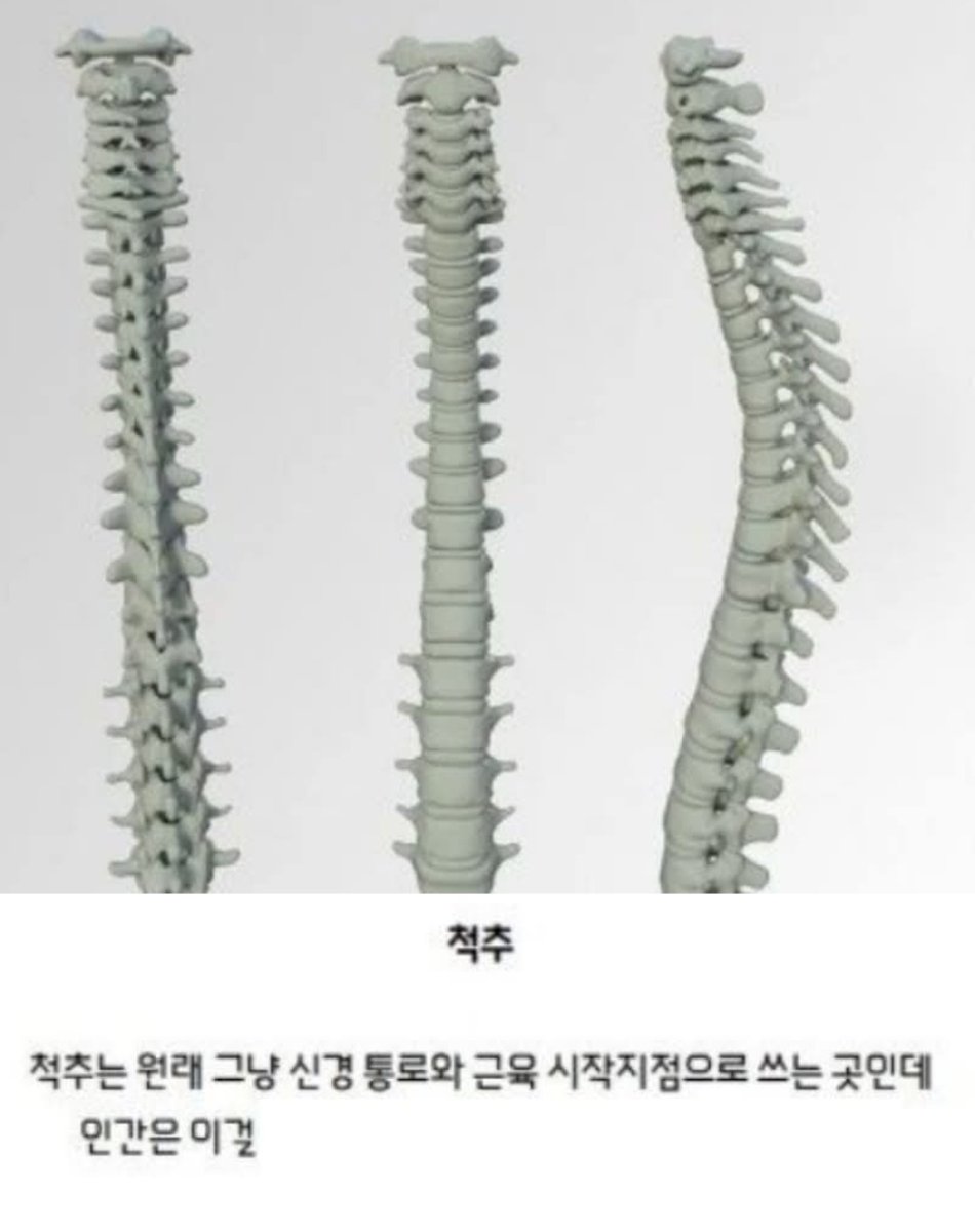 AltoBot's tweet photo. 인간이 잘못된 용도로 쓰고 있는것.jpg https://t.co/jeuW99g3Qp