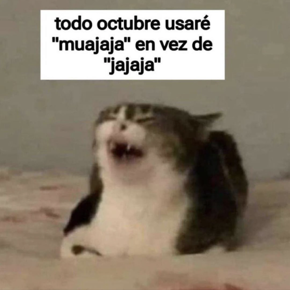 Guarromantico_'s tweet photo. Muajaja. https://t.co/TwIftbbKaZ