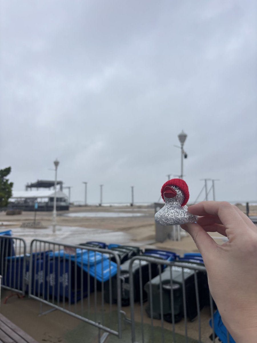 manifstceiling's tweet photo. tyler duckseph at ocean's calling 2026 https://t.co/qvUGuiHnCN