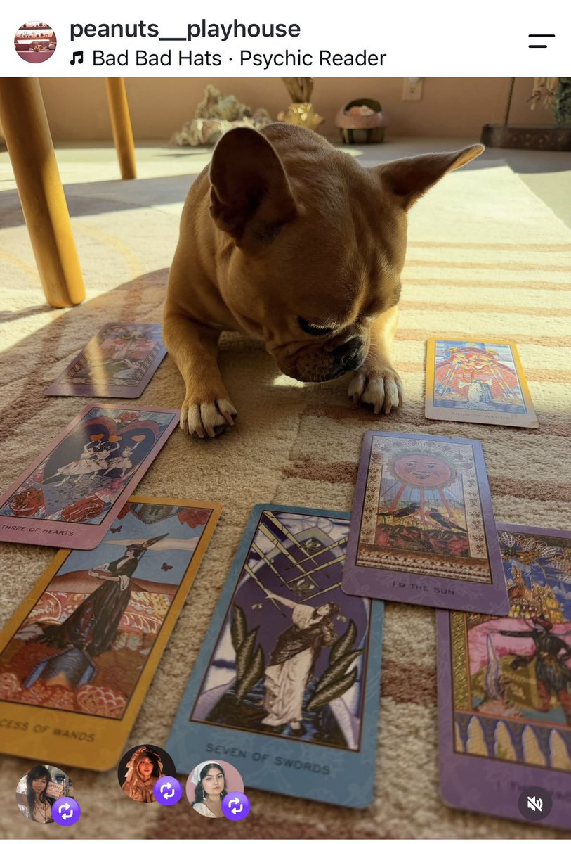 bookworm0923's tweet photo. Peanuts_playhouse Instagram post, Melanie Martinez’s dog named Peanut doing a tarot reading.
#dog
#melaniemartinez
#music
#hadestech
#insta
#tarot https://t.co/9WcvFdvZMd