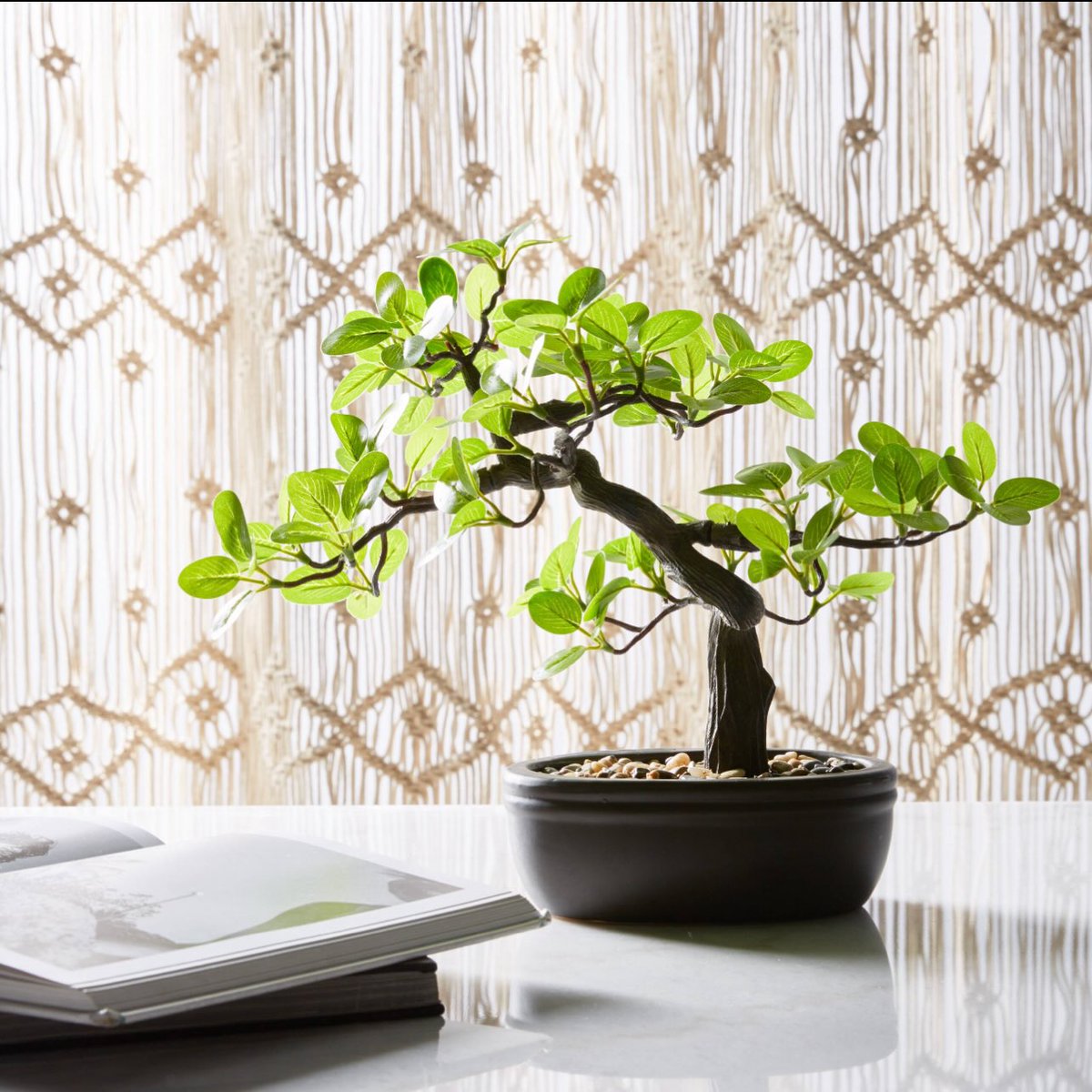 MerriKuiz399's tweet photo. Beautiful flower arrangements to bring life, color, and personality to your home. DM to book! https://t.co/K0WQ6zVJv1