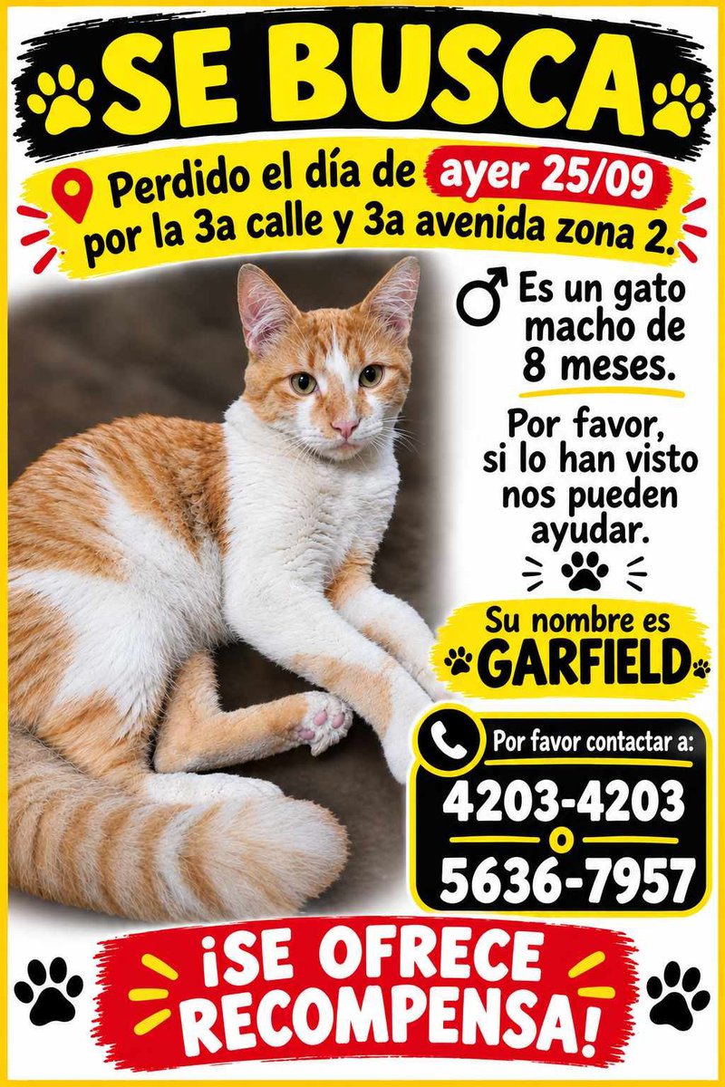 guatexanimales2's tweet photo. #repost https://t.co/M3QBcBy1DK