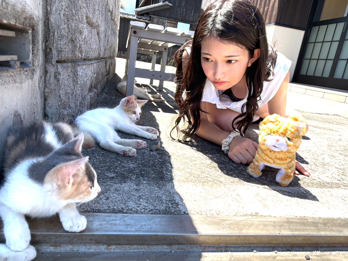 anzuch1120's tweet photo. おはようございます😀
みなさんは犬派？猫派？
飼ったことがあるペットをコメントで教えて💕

If you had to choose between dogs and cats, which do you prefer?
Tell me in the comments what pets you've had! 💕

#ペット
#猫好きな人と繋がりたい
#犬好きさんと繋がりたい https://t.co/sH3EuCf3m8