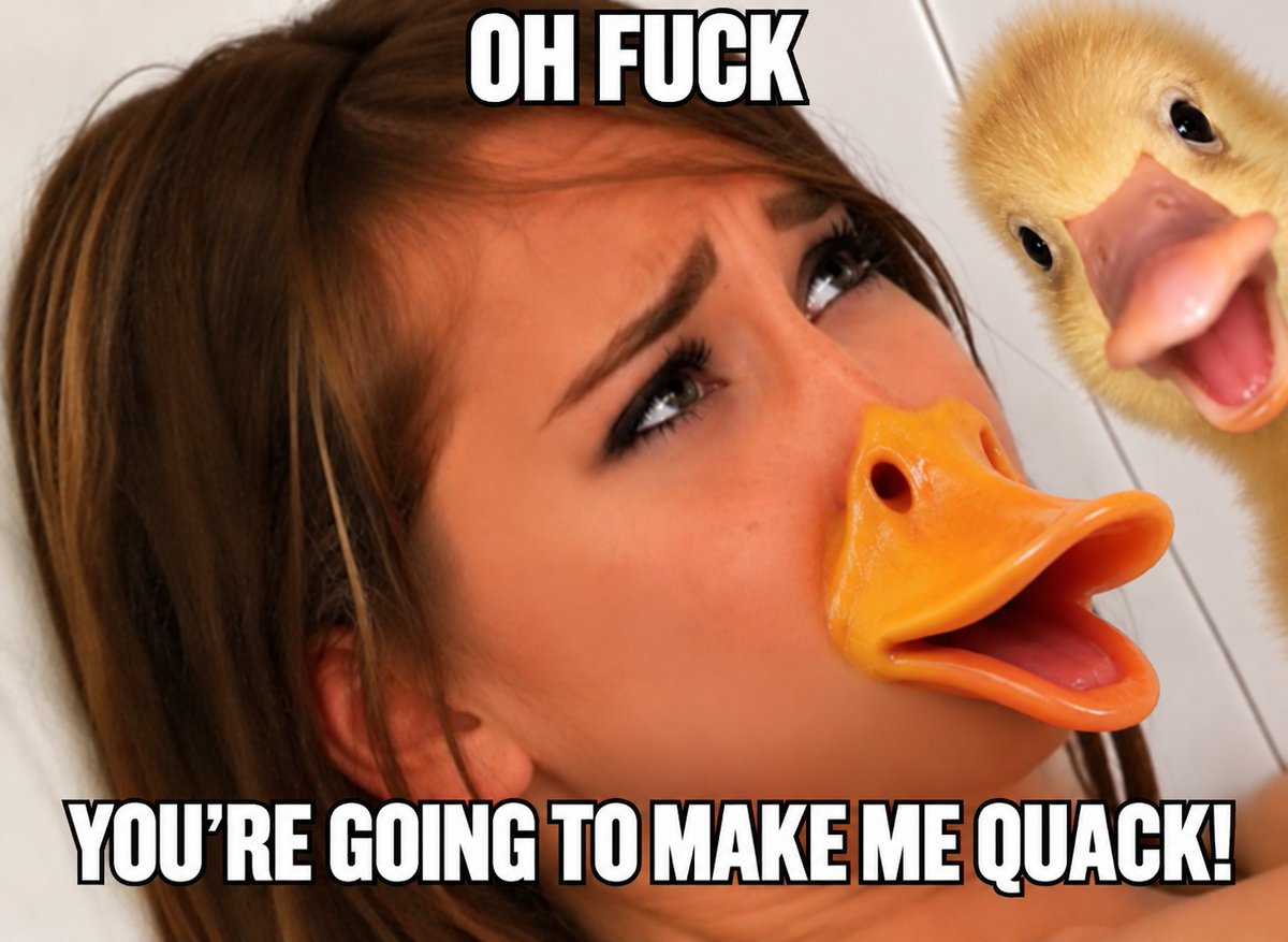 harold_onsol's tweet photo. you're gonna make me quack!!! https://t.co/Js1XF3lGQr