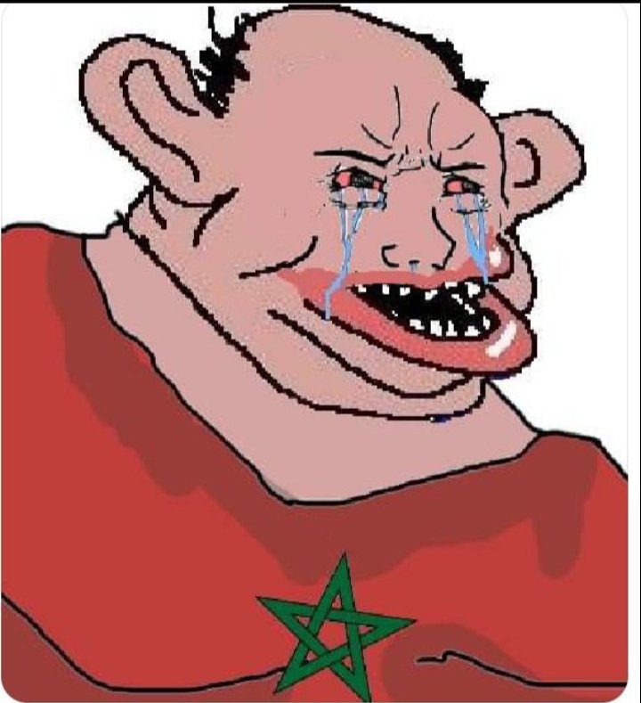 1meen___'s tweet photo. @Khalid231289257 @US_SrAdvisorAF When we talk about slavery we talk about moroccans ..when we talk about gay shit ..we talk about Mimi 6 n the sweet lil girl bourita ...i talk to morrocans girls on tinder ..they're willing to sell themselves for just 5 euros ..we don't do that in Algeria 
شعبنا شعب نخوة و كرامة https://t.co/vUUFA0cL5s