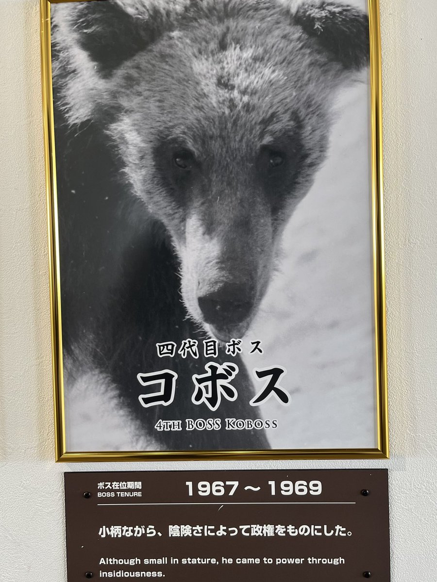 fuuuuuta21's tweet photo. 「のぼりべつクマ牧場」は、歴代ボスの写真が陳列されており、人望•権力闘争•リーダーシップにも示唆を与えてくれる内容になっている。

姑息な手を使って得た権力は長続きしないが、優しすぎてもダメらしい。 https://t.co/mWCry7BdK3