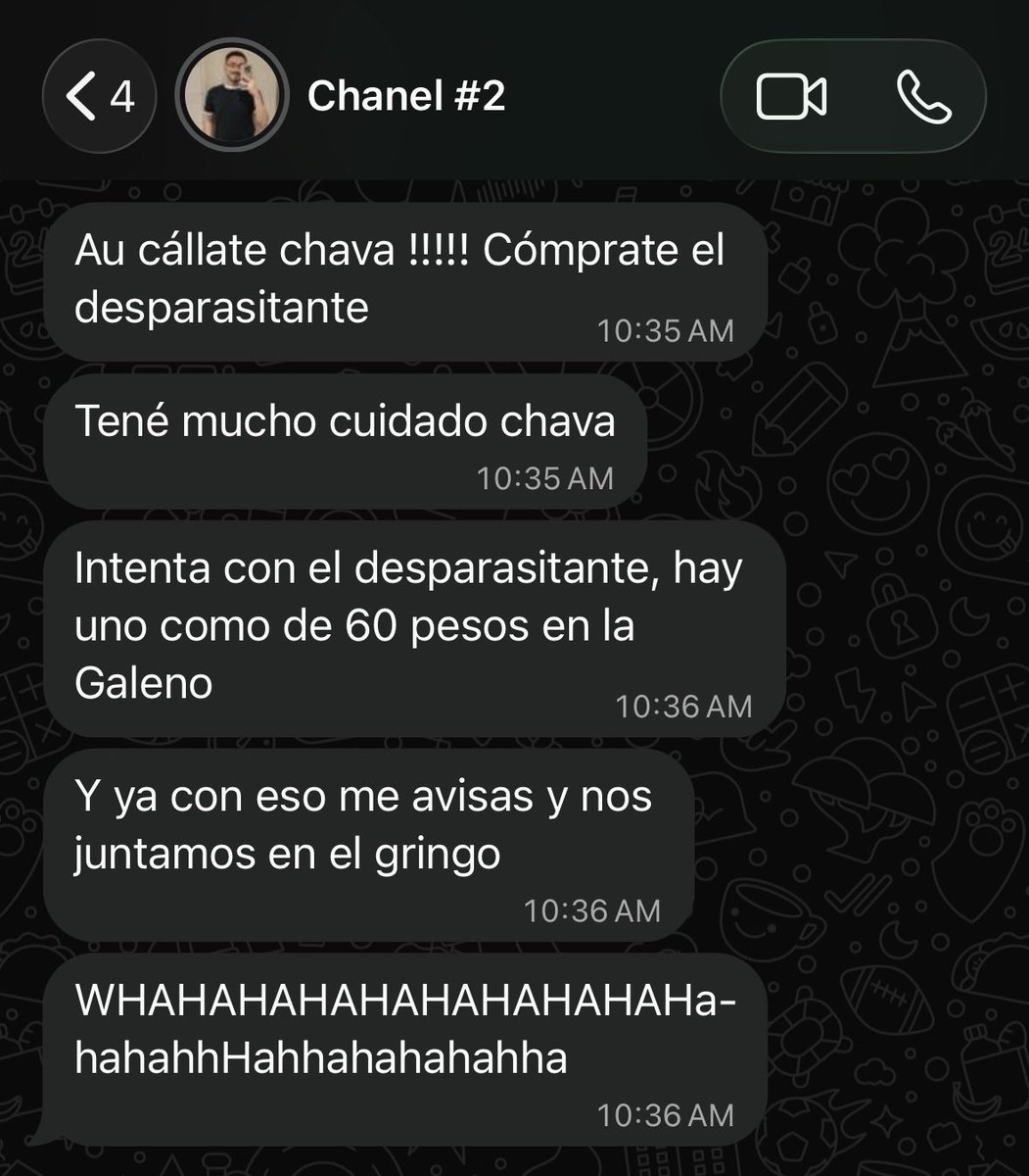 alextasissss's tweet photo. Si mi mejor amigo me dice que necesito una desparasitada, yo le creo! https://t.co/tjt9Fnl90L