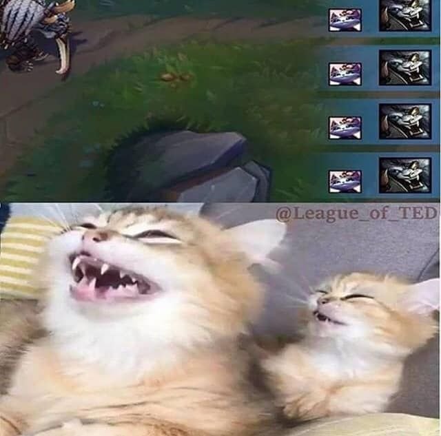 acervoyuuumi's tweet photo. VIOLENT CATS >:33 https://t.co/QFzcDrTCW6