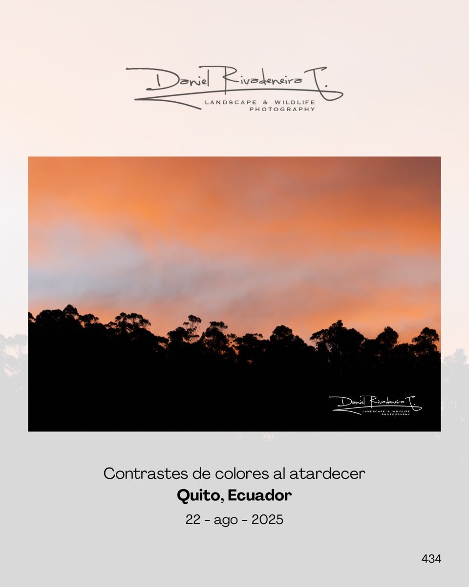 DRivaT90's tweet photo. 434. Contrastes de colores al atardecer
Quito, Ecuador 🇪🇨
-
-
-
#Ecuador
#Canon
#Landscape
#PhotographyIsArt
#ThisIsNotAI https://t.co/PP5SEuzb6c