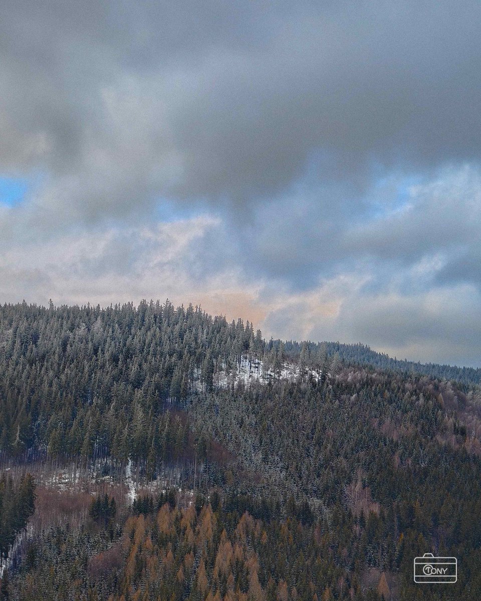 RudolphTreffert's tweet photo. I was in the mountains, and for a moment it looked like I was seeing an oil painting. Well, sometimes all it takes is the right light for an ordinary view to feel completely different. https://t.co/C2wIUpAuBL