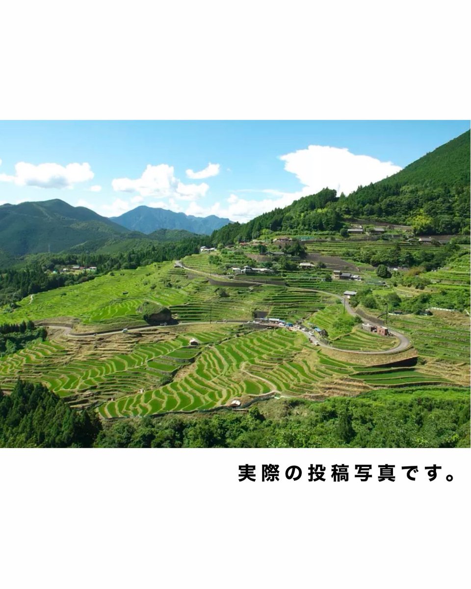 GarthSwets's tweet photo. This is Japan. No, this is Kumano. About 1, 340 terraced rice paddies spread across the mountainside. Changing with the seasons, they preserve Japan’s timeless rural landscape. Not flashy, but endlessly captivating. Maruyama Senmaida. Kumano still https://t.co/WMcxlMxQBR