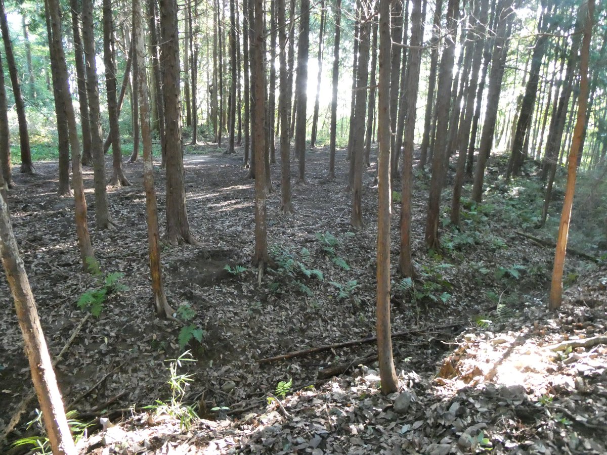 ko78044064's tweet photo. 峯城（みねじょう）
峯氏、峯政実、峯盛祐、滝川益重、佐久間正勝、岡本良勝
三重県亀山市（2026年） https://t.co/PFZnNp2f1J