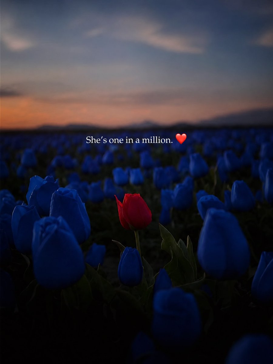 WiltonKizeixzu's tweet photo. Some people are unforgettable because they bring a peace no one else can. Their kindness, loyalty, and love are genuine. The right person isn’t just another face in the crowd—they’re one in a million. Cherish them with all your heart. Full name: https://t.co/ckupPbSFDl