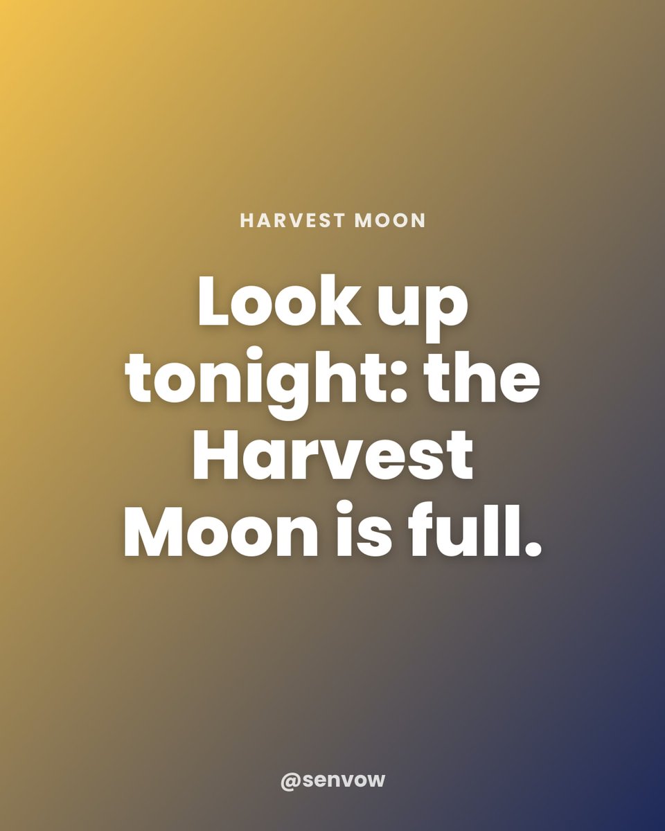 senvow's tweet photo. The Harvest Moon peaks today, and it stays bright tonight and tomorrow night. Rooftop, backyard or a walk with friends. Where are you watching it from?

#HarvestMoon https://t.co/g2mpDoHJQc