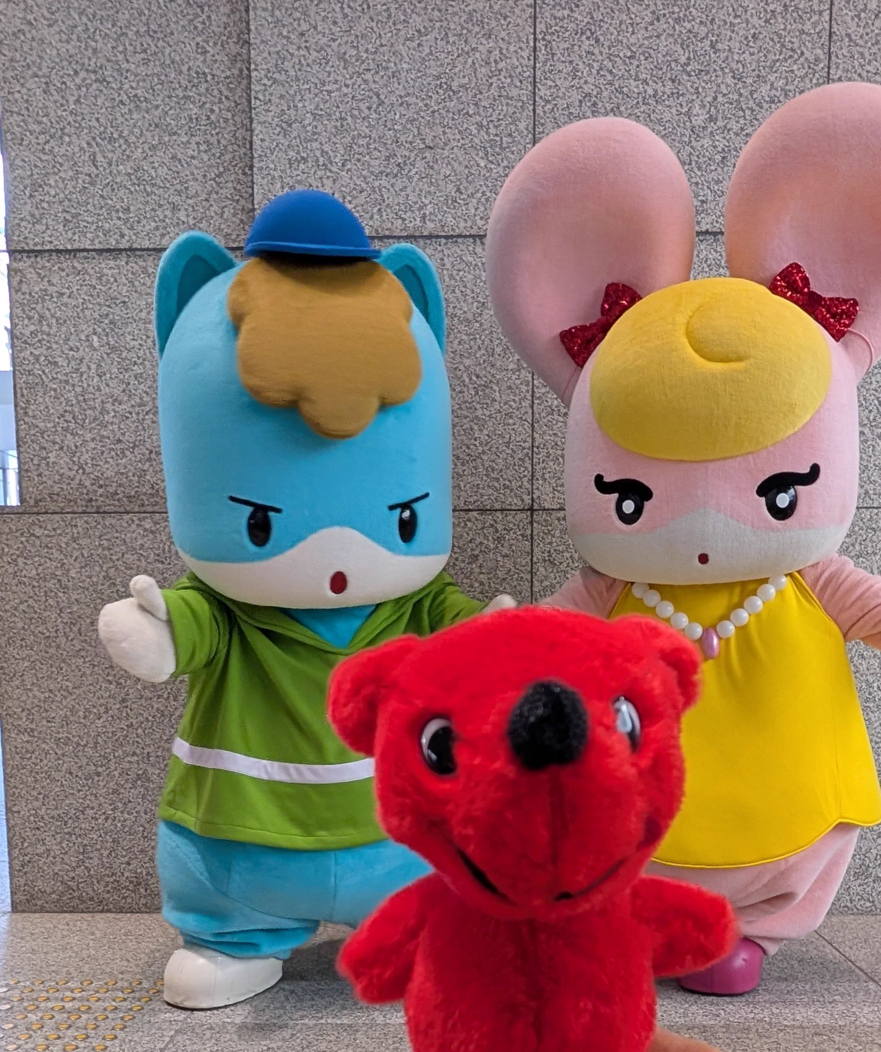 チーバくん on X: 